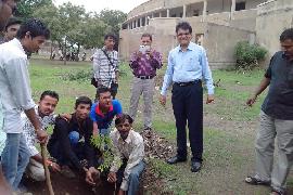 Vruksharopan 6-8-2014 